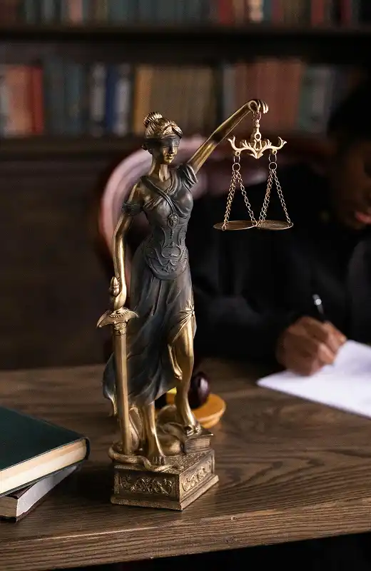 Legal Advocacy